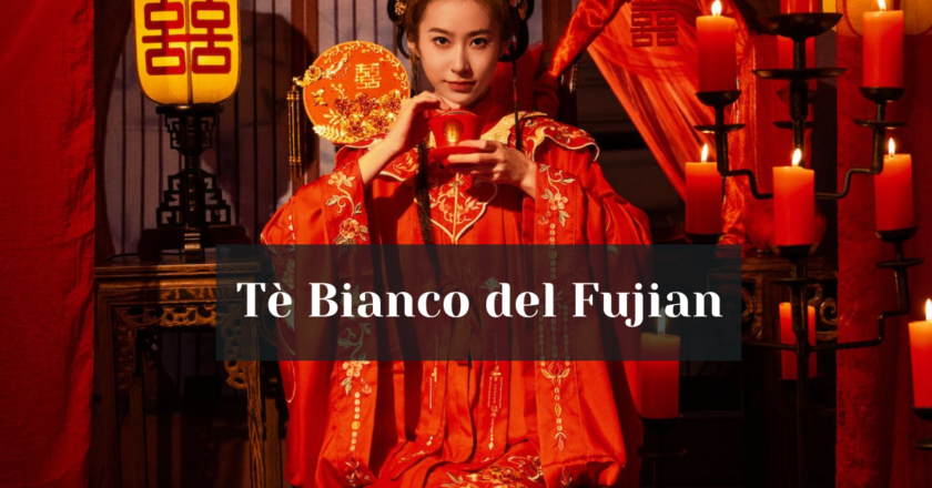 Tè Bianco del Fujian, un tesoro cinese